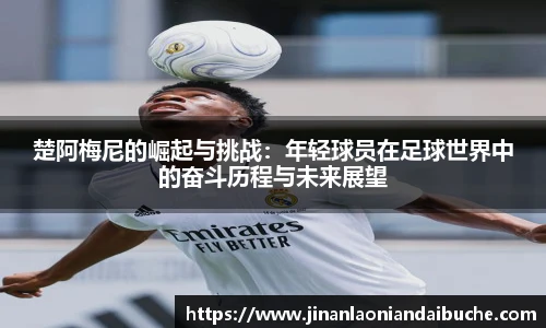 zoty中欧官网版